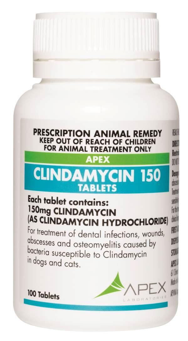 Clindamycin For Dogs